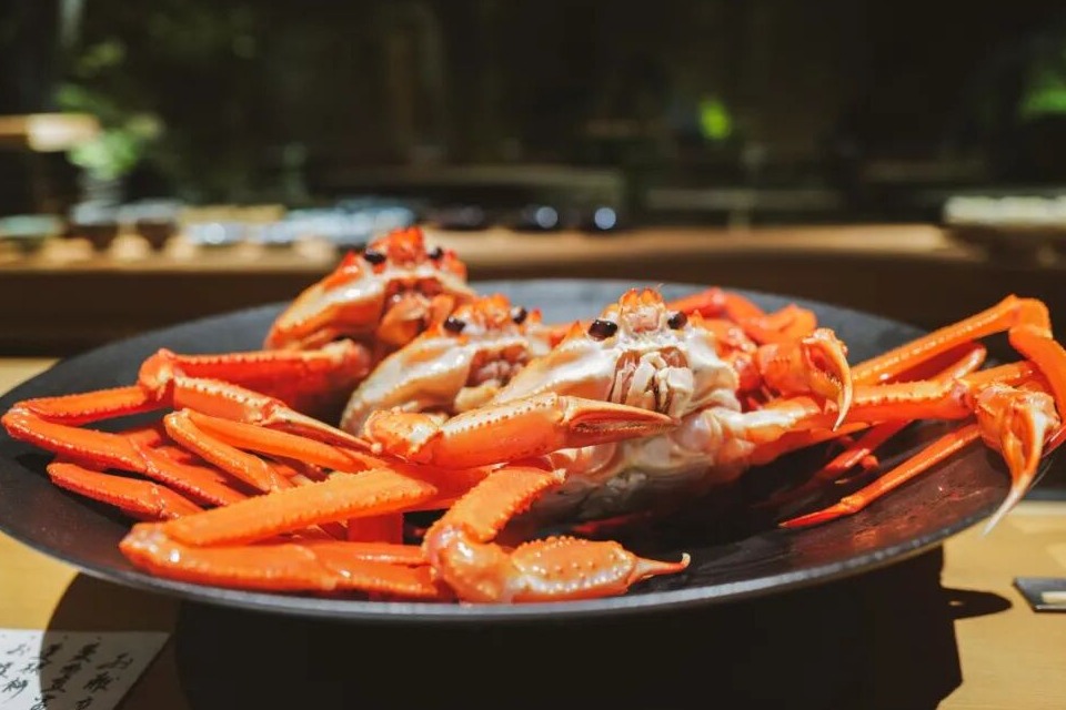 Toyama Travel Guide: Budget Sushi, Top-Tier Kaiseki, and All-You-Can-Drink Sake in a Deliciously Underrated City