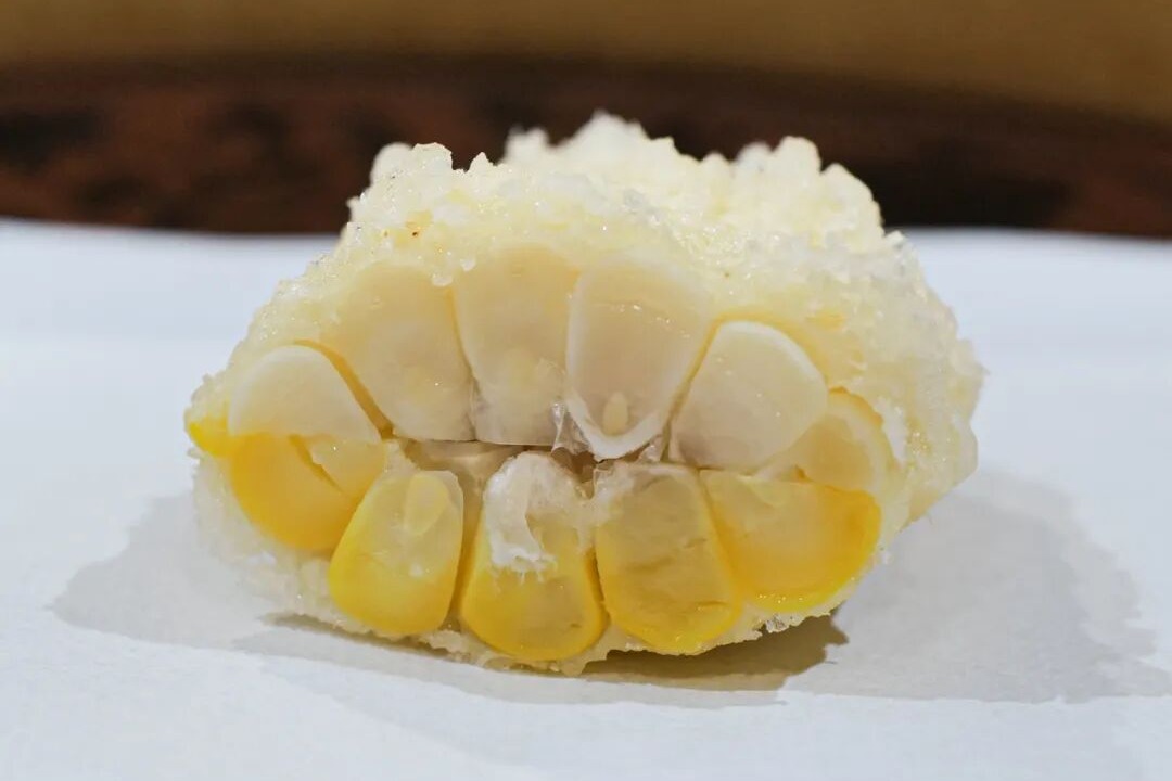 The Unmissable Corn Tempura | Tempura Asanuma